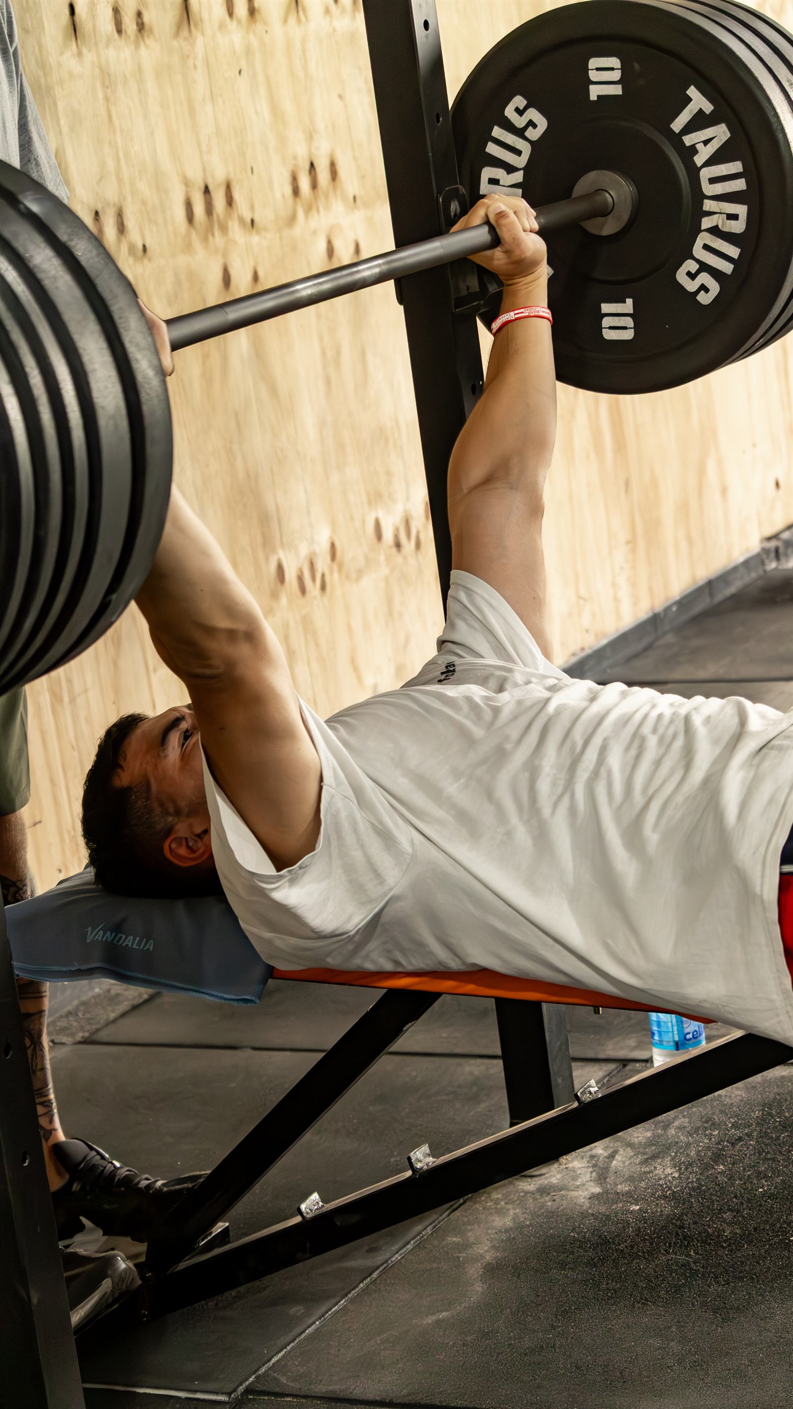 Equipamiento premium South Fit